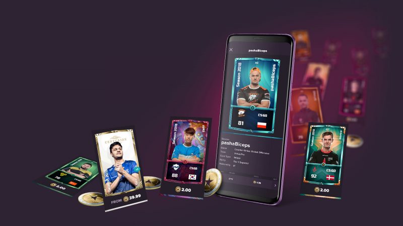 How We Improved Our Best Cricket Betting App In One Month